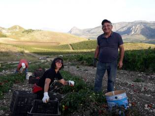 Campi liberi a San Giuseppe Jato dal 3 al 9 settembre 2018 (9)