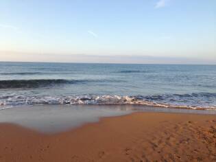 Campi Liberi – 17/23 ottobre 2016