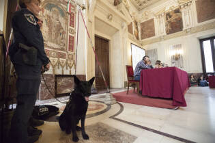 alimenta_l_amore (20)