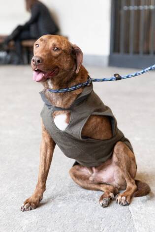 Grande partecipazione per il set di San Valentino 2019 (37)