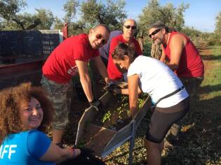 Campi Liberi – 17/23 ottobre 2016