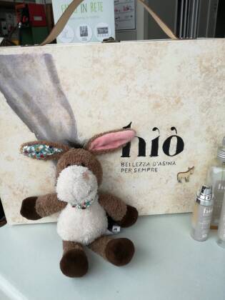 Visita all’azienda agricola Asine di Balaam - 9 settembre 2017