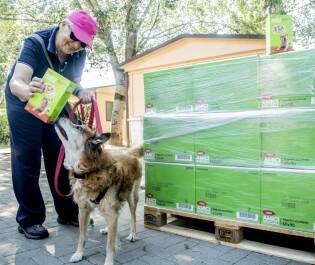 Alimenta l'Amore sostiene il Parco Canile Milano - 29 luglio 2019 (3)