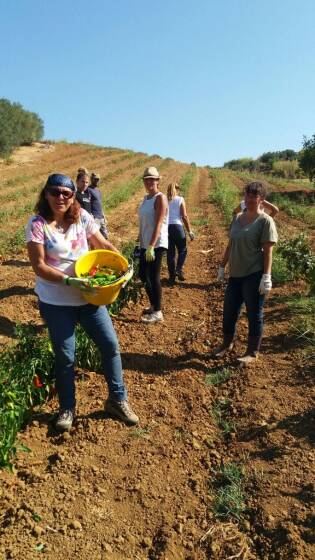Campi Liberi in Sicilia – 28 agosto 03 settembre (13)