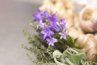 Lucia Giorgi alla Coop di Roncadelle