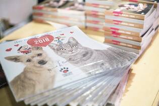 Presentazione del calendario 2018 di Alimenta l'amore - 29 novembre 2017 (5)