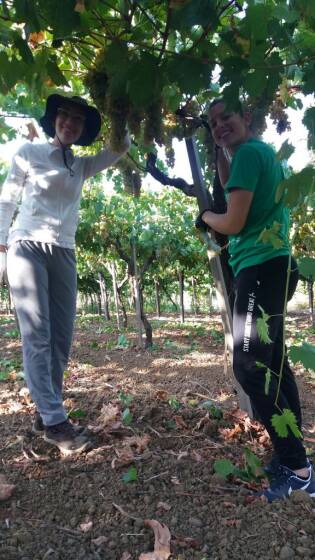 Campi Liberi in Sicilia – 28 agosto 03 settembre (26)