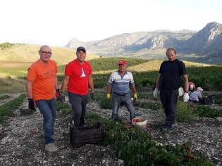 Campi liberi a San Giuseppe Jato dal 3 al 9 settembre 2018 (8)