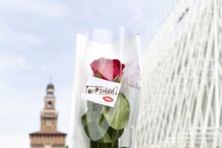 Festa della mamma al Gate con le rose Fairtrade - 8 maggio 2016