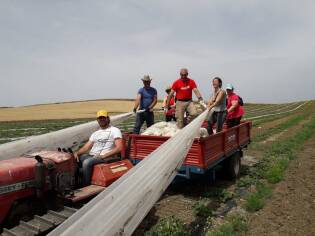 Impegno e formazione dal 10 al 16 giugno a Castelvetrano (5)