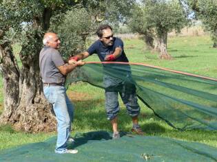 Campi Liberi – 24/30 ottobre 2016