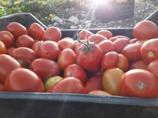 Campi liberi a San Giuseppe Jato dal 3 al 9 settembre 2018 (16)