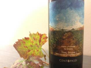 Campi Liberi – 17/23 ottobre 2016