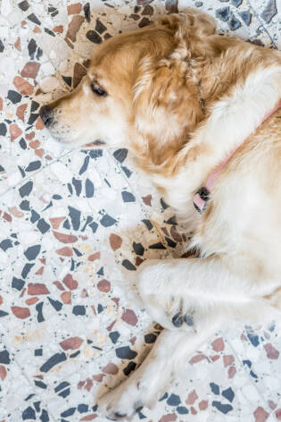 Gli Amici della Fattoria al Ronchettino di Brescia