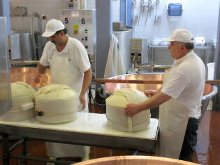 Visita agli stabilimenti Parmareggio - 10 maggio 2013