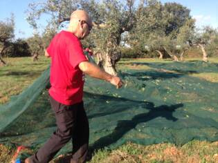 Campi Liberi – 17/23 ottobre 2016