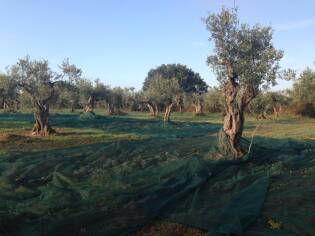 Campi Liberi – 17/23 ottobre 2016