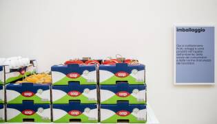 coop70_valoriinscatola_triennalemilano15