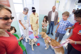 Gli Amici della Fattoria al Ronchettino di Brescia