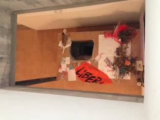 Campi Liberi – 17/23 ottobre 2016