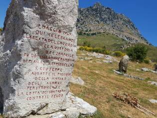 E!state Liberi il primo campo del 2017 - 12 giugno 2017 (2)