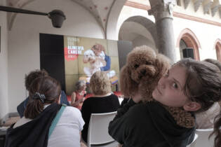 mondino.HumanDog.181