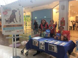 Rendicontazione pet day 2024