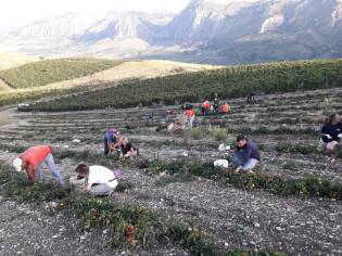 Campi liberi a San Giuseppe Jato dal 3 al 9 settembre 2018 (15)