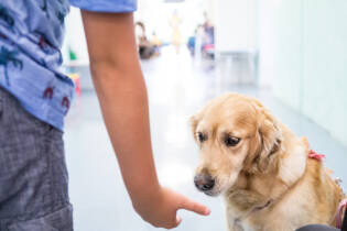 Gli Amici della Fattoria al Ronchettino di Brescia