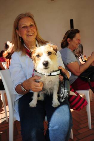 Human Dog 2019 nuovo grande successo per l'inaugurazione (20)