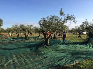 Campi Liberi - 17/23 ottobre 2016 - Corleone