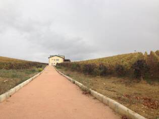 Campi Liberi - 17/23 ottobre 2016 - Corleone