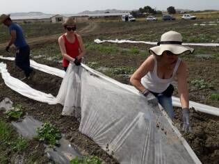 Impegno e formazione dal 10 al 16 giugno a Castelvetrano (11)