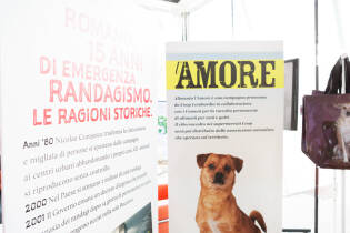 Save the Dogs and other Animals al Gate – 05 luglio 2016