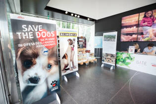 Save the Dogs and other Animals al Gate – 05 luglio 2016