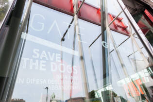 Save the Dogs and other Animals al Gate – 05 luglio 2016
