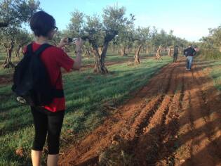 Campi Liberi – 17/23 ottobre 2016