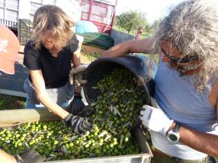 Campi Liberi – 24/30 ottobre 2016