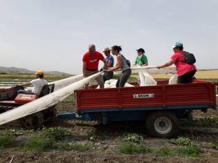 Impegno e formazione dal 10 al 16 giugno a Castelvetrano (4)