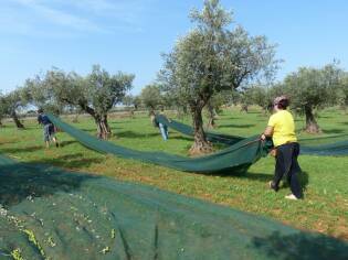 Campi Liberi – 24/30 ottobre 2016