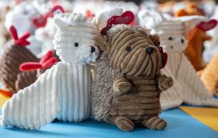 Centinaia di Fortunelli all’ASST di Cremona - 11 luglio 2018