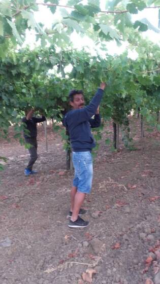 Campi Liberi in Sicilia – 04-10 settembre (7)