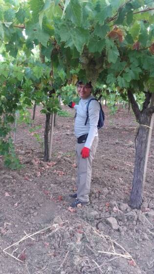 Campi Liberi in Sicilia – 04-10 settembre (14)