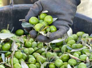 Campi Liberi – 24/30 ottobre 2016