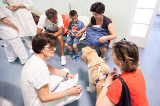 Gli Amici della Fattoria al Ronchettino di Brescia