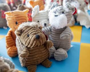 Centinaia di Fortunelli all’ASST di Cremona - 11 luglio 2018