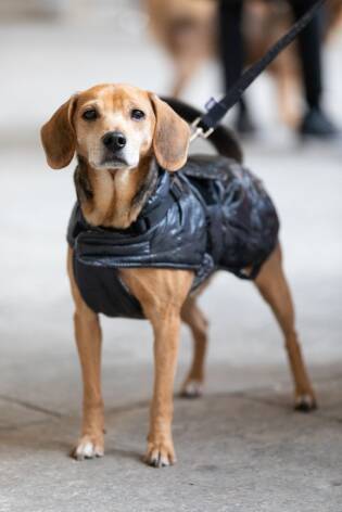 Grande partecipazione per il set di San Valentino 2019 (27)