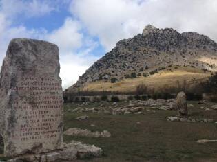 Campi Liberi – 17/23 ottobre 2016