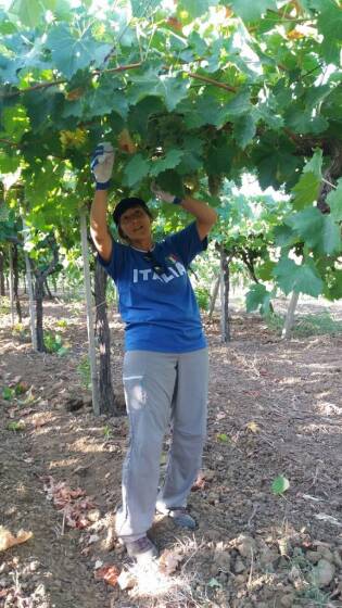 Campi Liberi in Sicilia – 28 agosto 03 settembre (6)