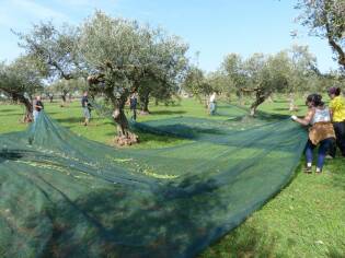 Campi Liberi – 24/30 ottobre 2016